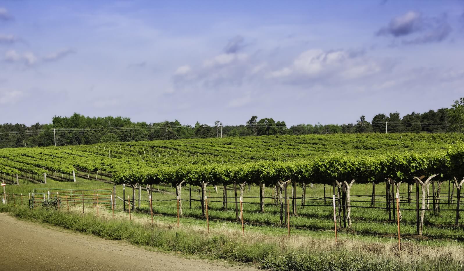 Arkansas Eliminates On-Site Rule for DTC Wine Shipping