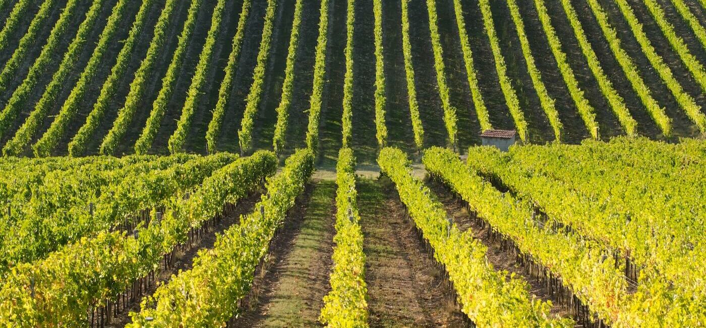 Alcohol Marketplaces 2.0 Part 1: Solicitation of Sales by Unlicensed Third-Party Providers